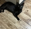 Swiper - Photo 5