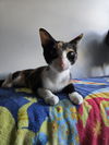 Winnie