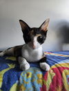 Winnie