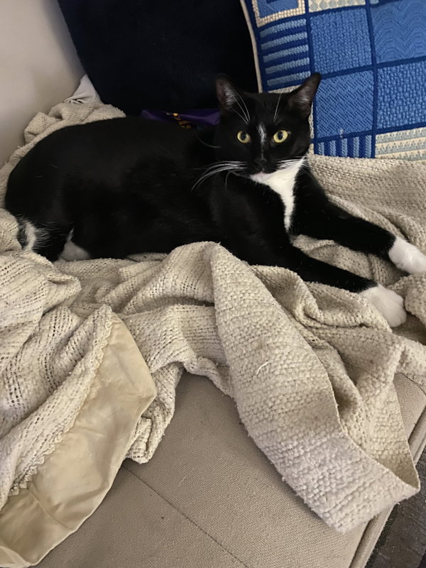 Nina