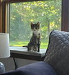 Latte - Photo 4