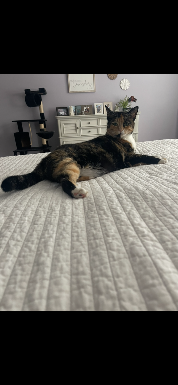 Pepper