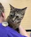 Max and Nacho *Bonded Pair*