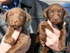 Jack, Jill, Jordan