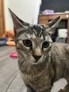 Mama - Photo 2