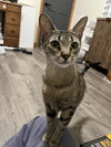 Mama - Photo 3