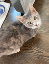 Sweetie Kay - Photo 1