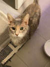 Sweetie Kay - Photo 2