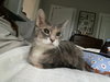 Sweetie Kay - Photo 6