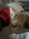 Shelly - Photo 6