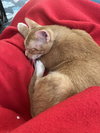Shelly - Photo 5