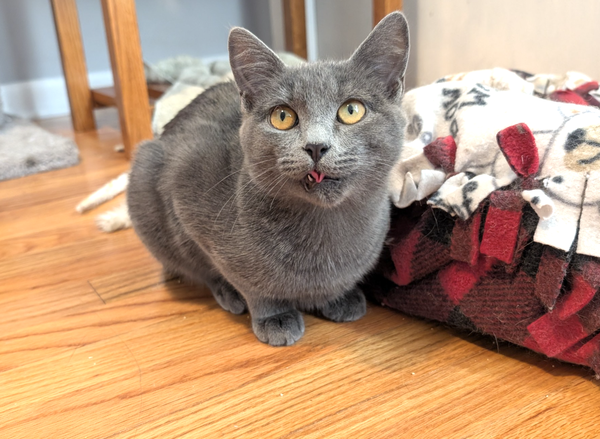 Jax