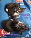 Nugget Falls & Emerald Lake (bonded pair) - Photo 1