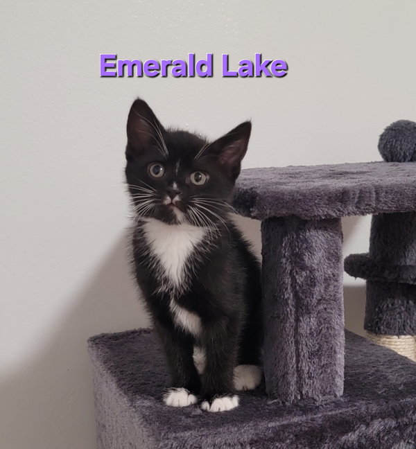 Nugget Falls & Emerald Lake (bonded pair)