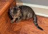 Rebecca - Photo 2