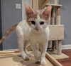 Norm - Photo 3