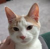 Norm - Photo 4