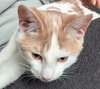 Norm - Photo 6
