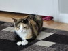 Pinky Tuskadero - Photo 2