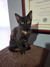 Sienna - Photo 2