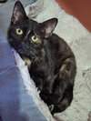 Sienna - Photo 3