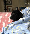 Lenny - Photo 4