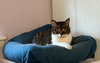 Anne - Photo 7