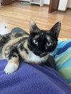 Missy - Photo 1
