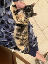 Missy - Photo 3