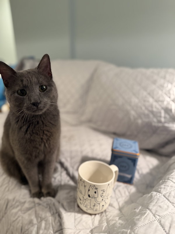 Earl Grey