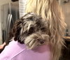 Bluey - Photo 2
