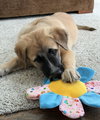 Winston - Photo 3