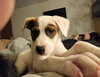 Polar - Photo 1