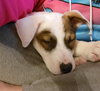 Polar - Photo 4