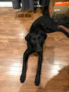 Sissy - Photo 1