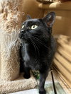 Trixie - Photo 2