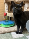 Trixie - Photo 3