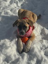 Greta - Photo 2