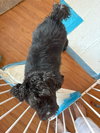 Chubb Chubb - Photo 4