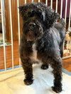 Chubb Chubb - Photo 5