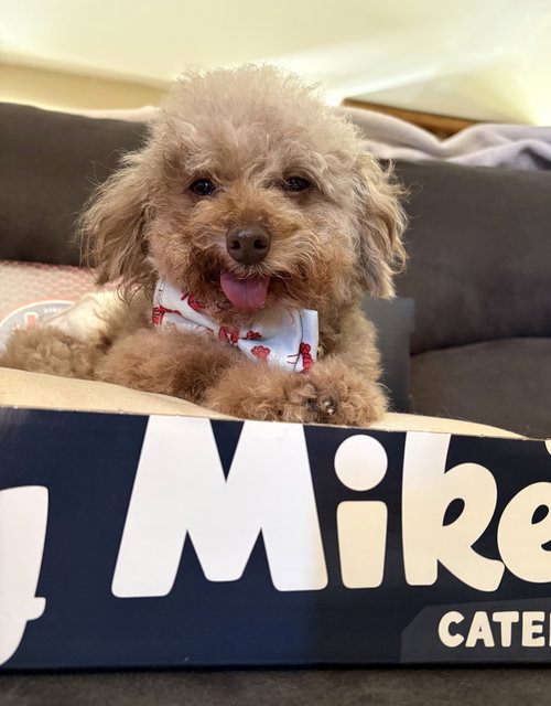Jersey Mike photo 3