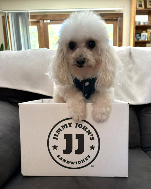 Jimmy John photo 4