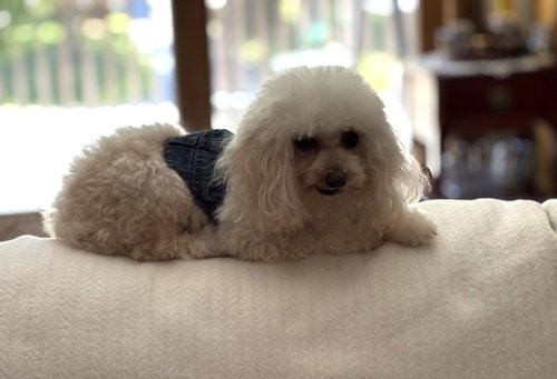 Jimmy John photo 5