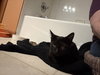 Shadow - Photo 4