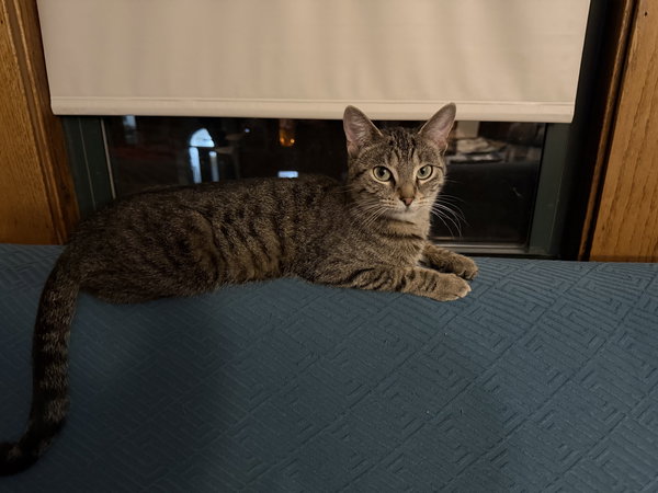 Kiki