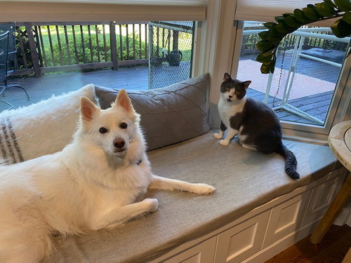Photo 4 of Byrdie & Mickle (bonded pair)