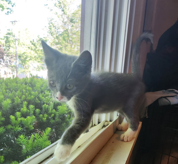 Lou Malnati