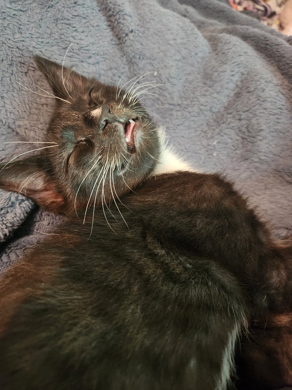Al