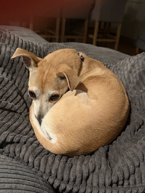 Bella photo 2