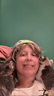Judith - Domestic Short Hair